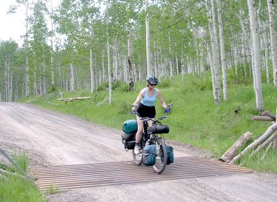 Terry crossing a cattle guard in an Aspen Forest.